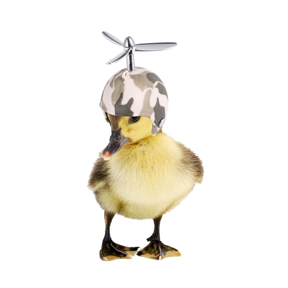 2pcs Chicken Helmet Protection Helmet Hens Pet Supplies Pet Hat for Chicken: Desert camouflage pa