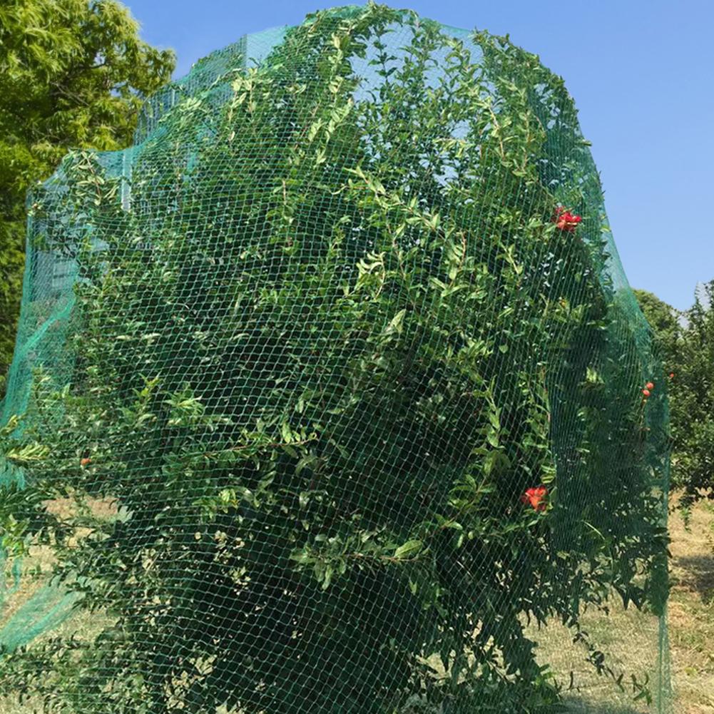 Red de Protección de árboles frutales reutilizable, Red de aves de polietileno, cercado de red de jardín reutilizable para frutas, protección de vegetales