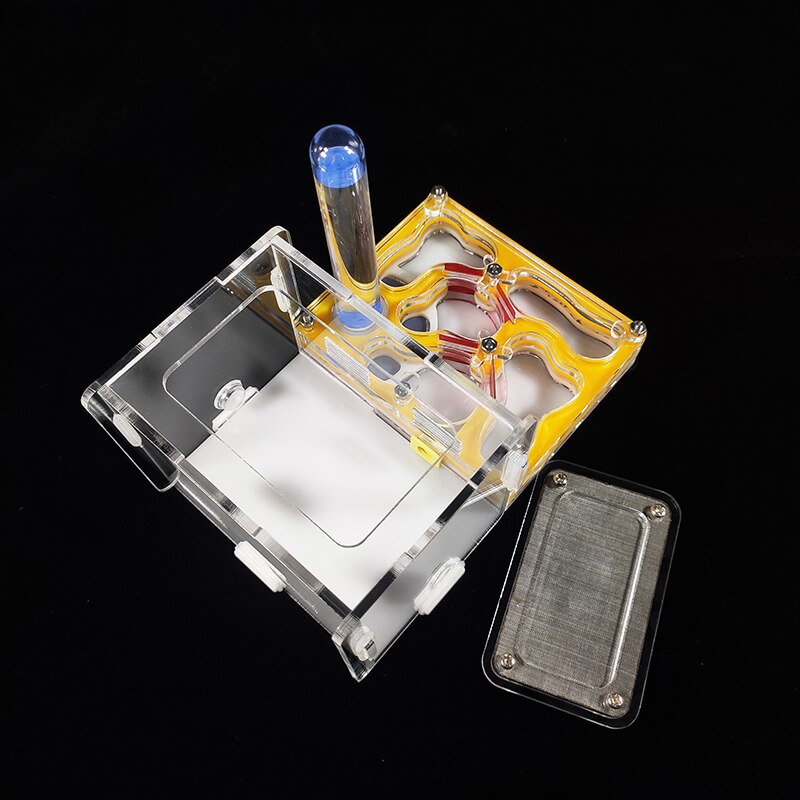 Yellow Ant Nest Acrylic Ant Villa Mini Ant Farm Insect Terrarium Ant Colony Breeding Nest