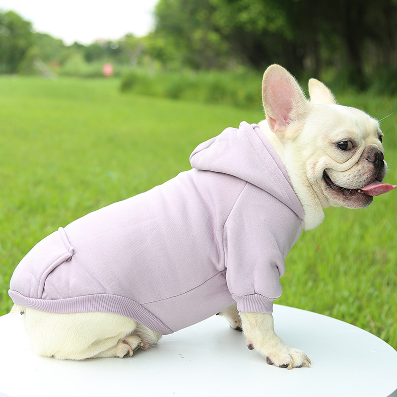 Dog Clothing Autumn And Winter Small Pet Clothes Thickening Warm Solid Color Two-Feet Hooded Wweater Casual Pet Products