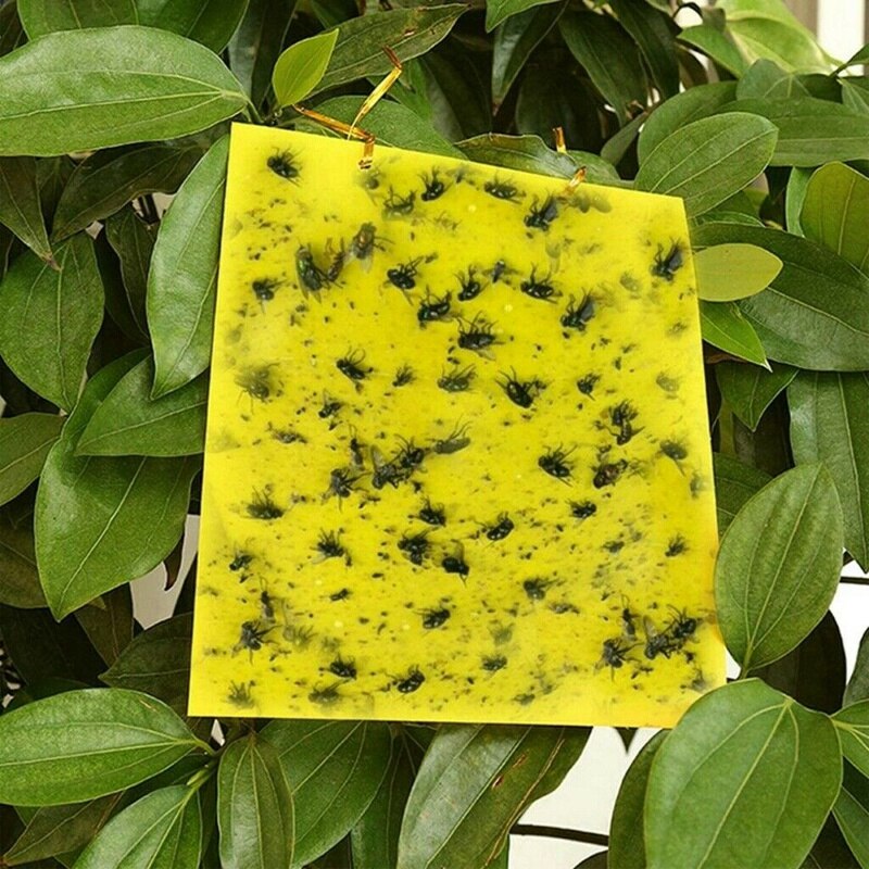 100Pcs Sticky Fly Trap Papier Geel Vallen Fruit Vliegt Insect Lijm Catcher Dubbelzijdig 20X15cm: Default Title