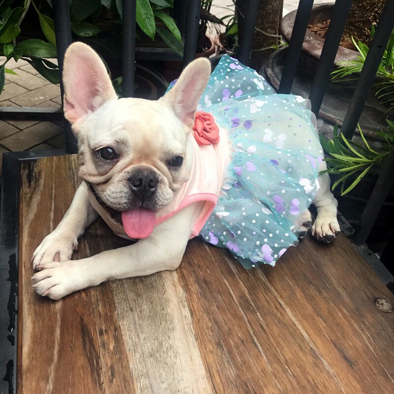 French Bulldog Clothes Summer Dog Dress Poodle Bichon Pomeranian Schnauzer Pug Clothing Princess Skirt Corgi Dog Costume Outfit