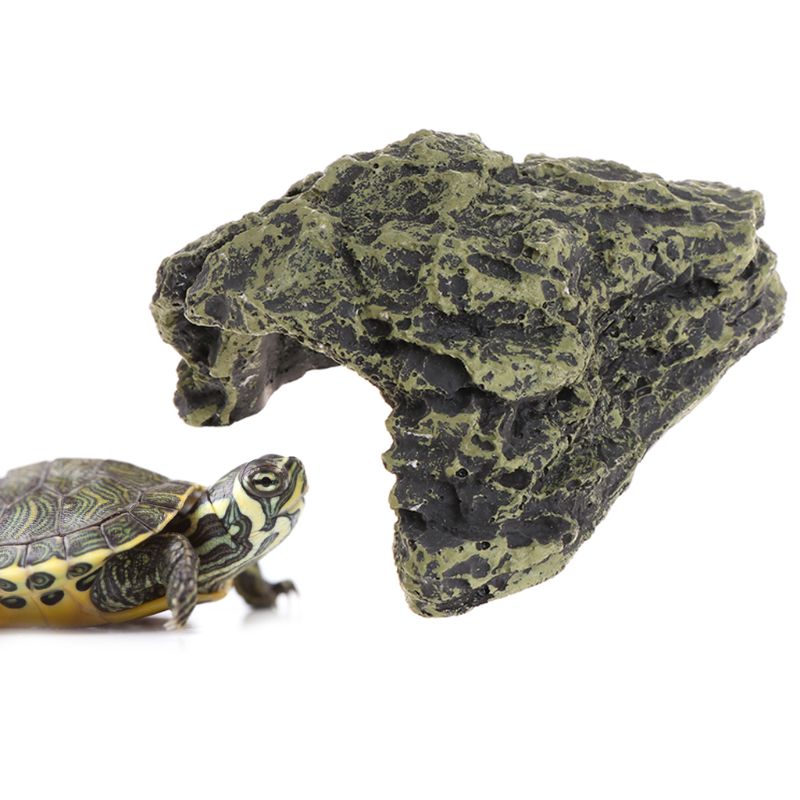 Krybdyr hule skildpadde baske tilbage huler platform sag dekoration landskab harpiks livagtig levested skjule sten til firben slangeskildpadde