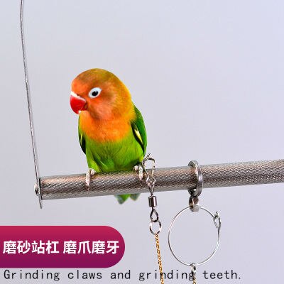 Picture of Two sizes with scrub stand bar parrot swing large ... - Grandado