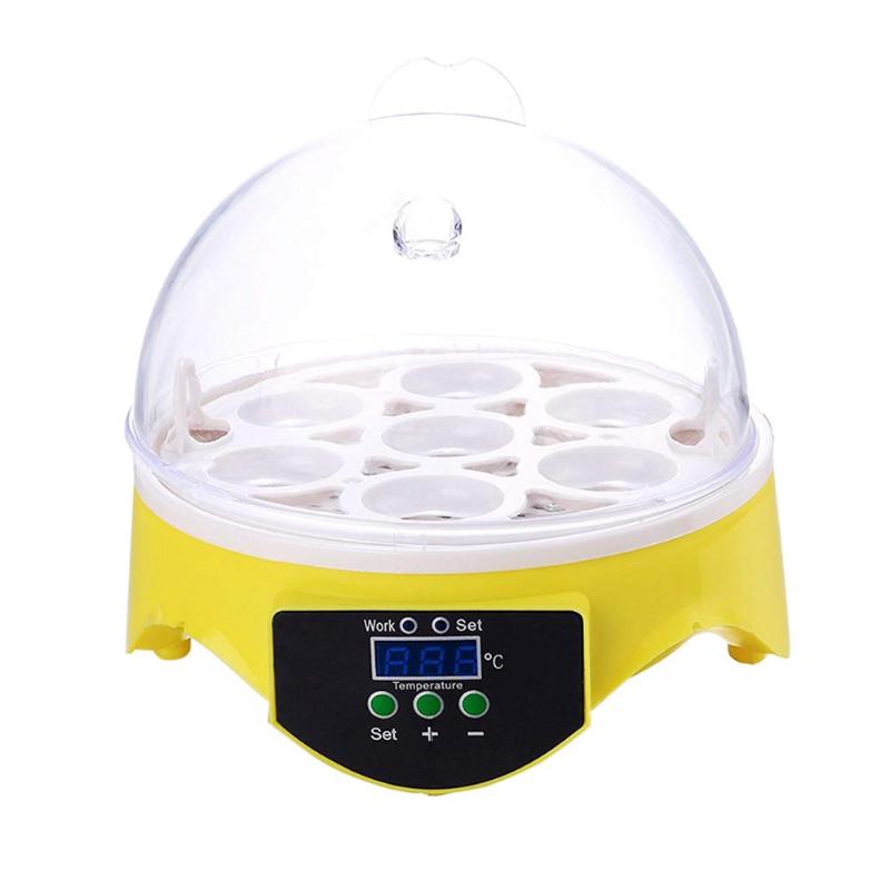 Miniincubadora de 7 huevos para aves de corral, Incubadora Digital de temperatura, para pollo, pato, pájaro y Paloma: EU Plug