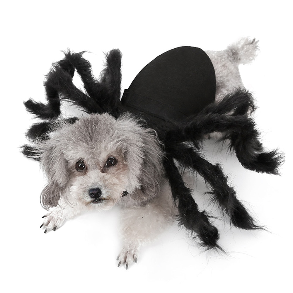 Neue Halloween Haustier Spinne Kleidung Simulation Schwarz Spinne Welpen Cosplay Kostüm Für Hunde Katzen Party Cosplay Lustige Katze Outfit