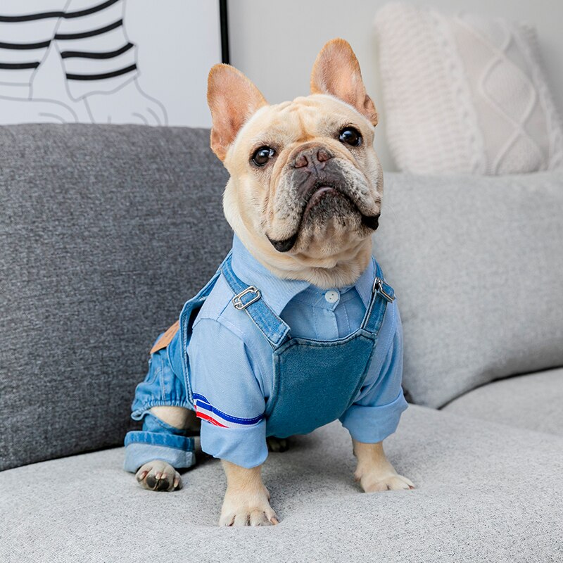 Franse Bulldog Kleding Denim Hond Kleren Jumpsuits Herfst Winter Honden Huisdieren Kleding voor Hond Jas Jas Ropa Para Perro