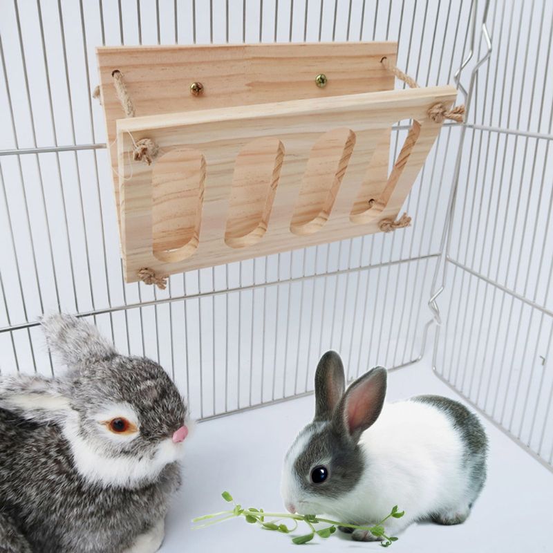 Curated visual reference: Sex Segregation Hamster Rack Shelf Reference: Coelho De Madeira Hay Rack Manjedoura Multi Funcio