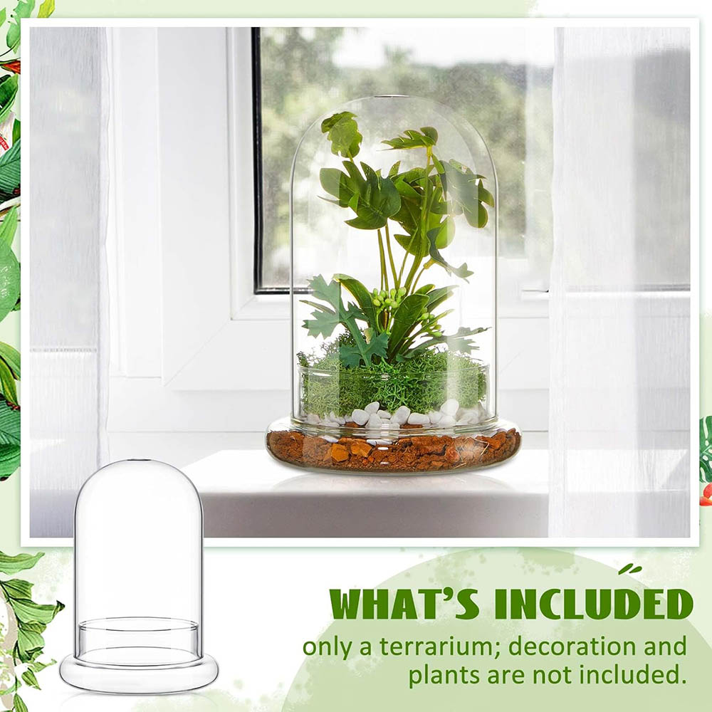 Cúpula de vidrio con orificio de aire, campana de cristal con Base, exhibición de mesa para el hogar, contenedor de terrario transparente para plantas, terrario
