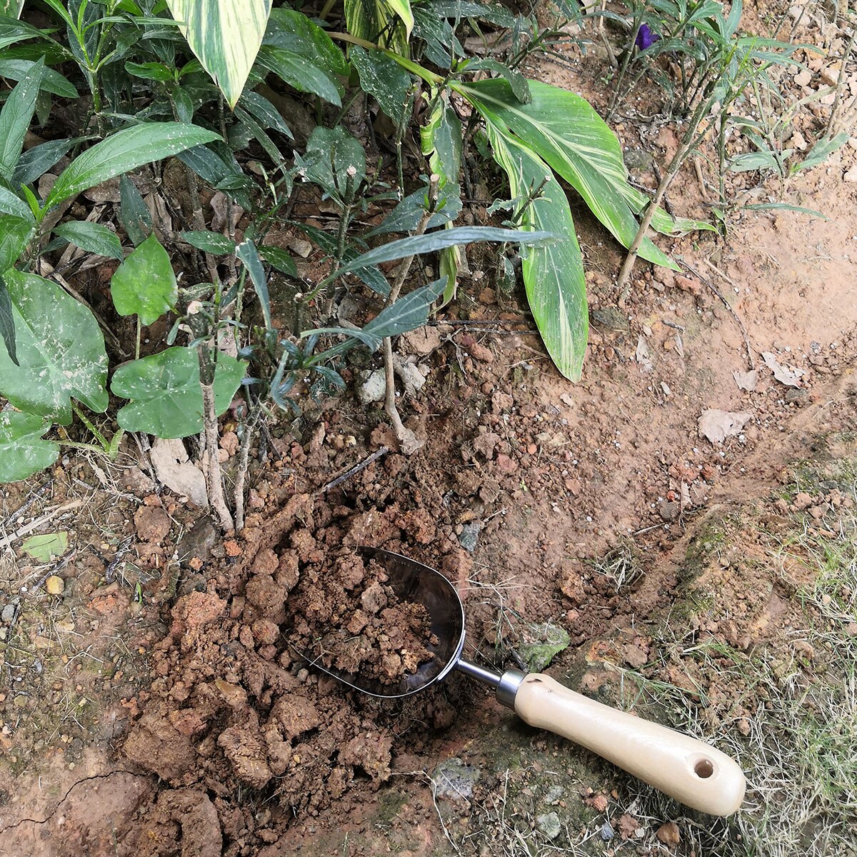 Manche en bois acier inoxydable grande pelle cuillère pelle sol boue plantation fleurs et fournitures de jardinage