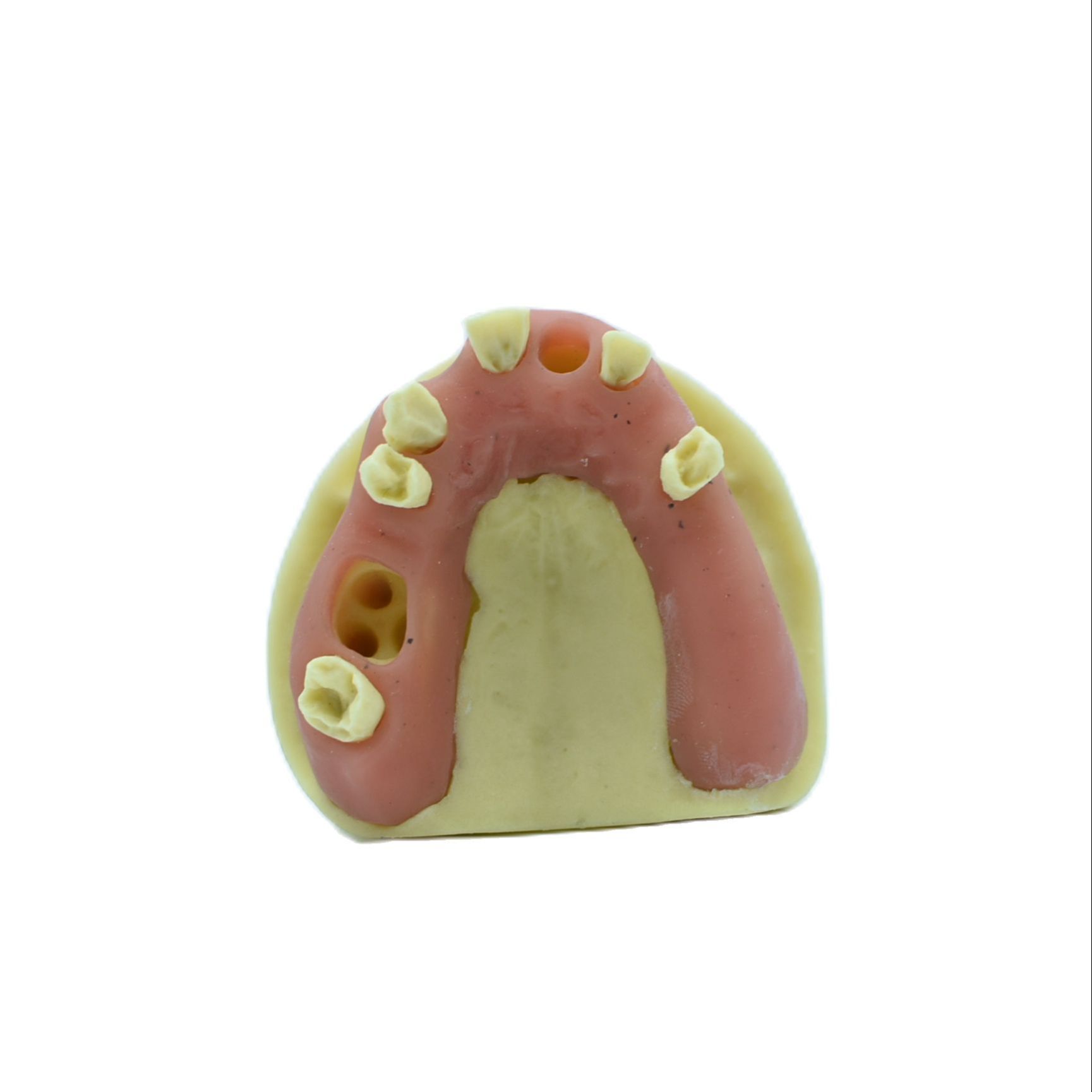 1PCS Dental Mandibular Demonstration Oral Model Implant Practice Maxillary Sinus Teaching Model Soft Gum Training Teeth model: M