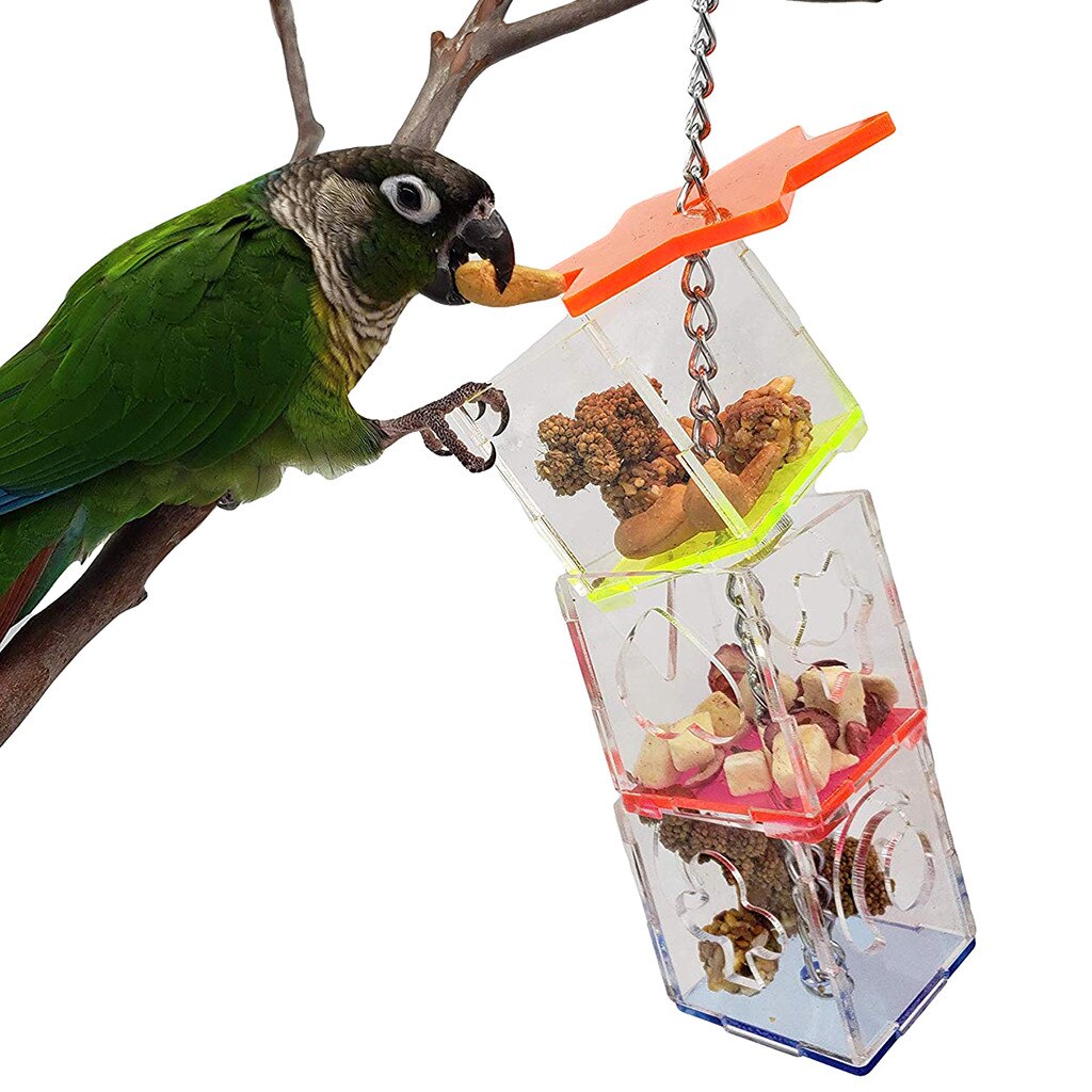 View of Clear Acrylic Parrot Bird Cage Feeder Hang Foragin... – Grandado