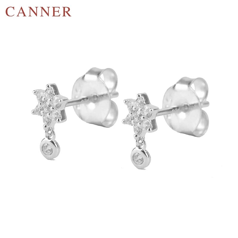 925 sterling zilveren rozenbloem oorbellen voor vrouwen in minimalistische zirkonia dieren slang/ogen oorbellen sieraden oorbellen: Zilver 5