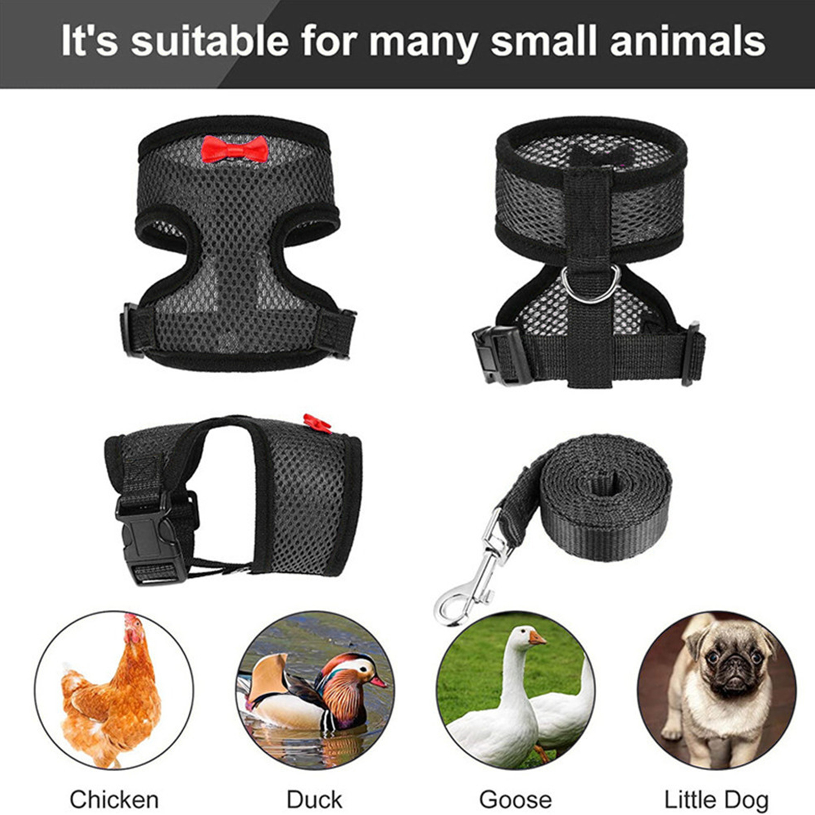 Harnais de poulet réglable, taille de poule, avec laisse assortie de 3,6 pieds, gilet respirant résistant et confortable pour poulet et canard
