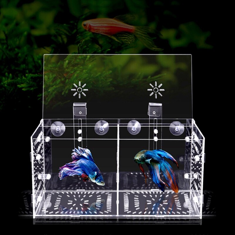 Fish Tank Aquarium Box Small Fish Isolation Tank Tropical Fish Breeding Box Production Box Acrylic Aquarium Supplie