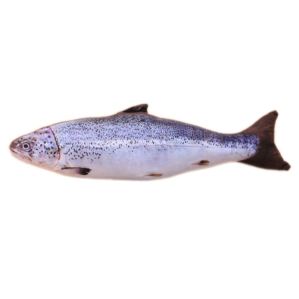 30cm Funny Pet Electric Toys USB Rechargeable 3D Simulation Fish Moving Tail Cat Playing Toy Vibration Fish Chewing Cat Toys: Black Grey Salmon