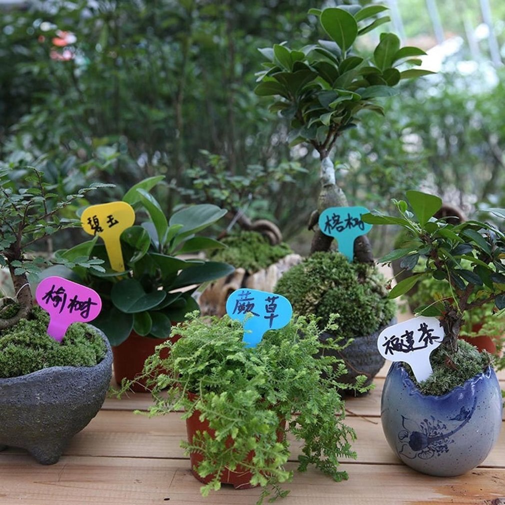 100 stk plast t-type haven tags ornamenter plante blomst etiket børnehave tykke tag markører til planter haven dekoration