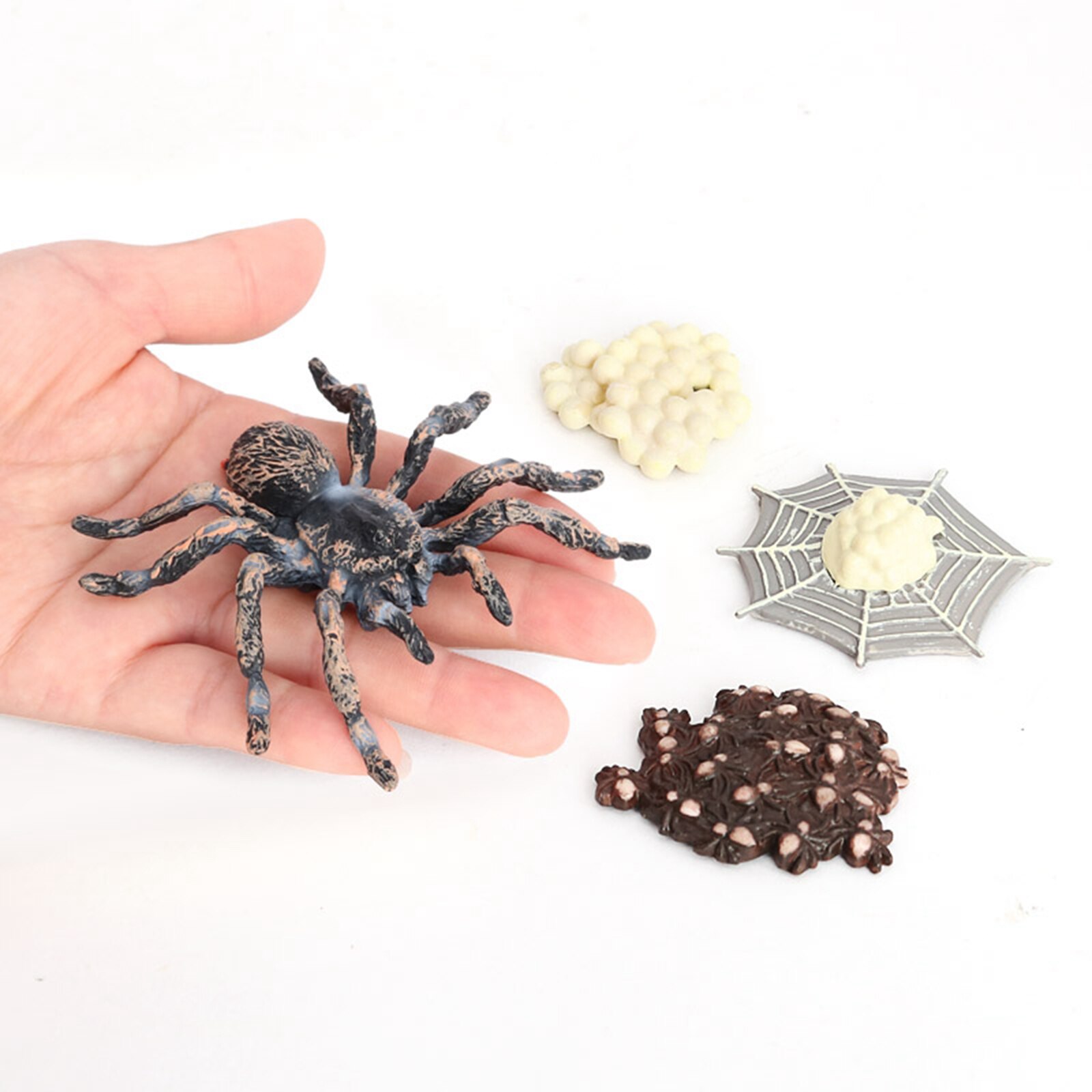 4 Pieces Nature Giant Whiteknee Spider Growth Toy Animal Growth