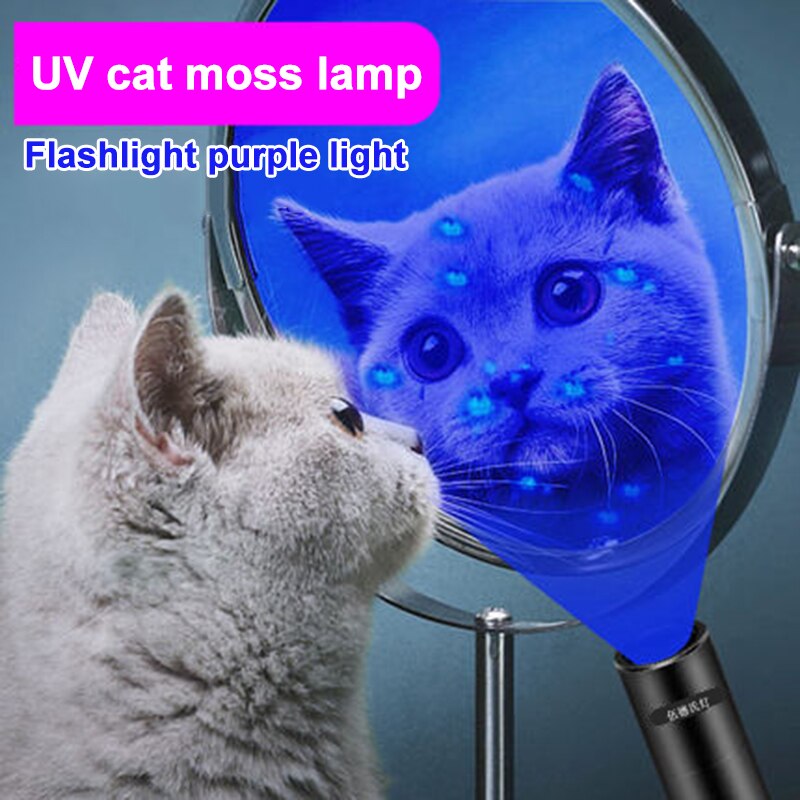 High-Powered Black Light UV Flashlight USB Rechargeable Blacklight Flashlights for Pet Urine Detection Scorpion Bed Bug: Default Title