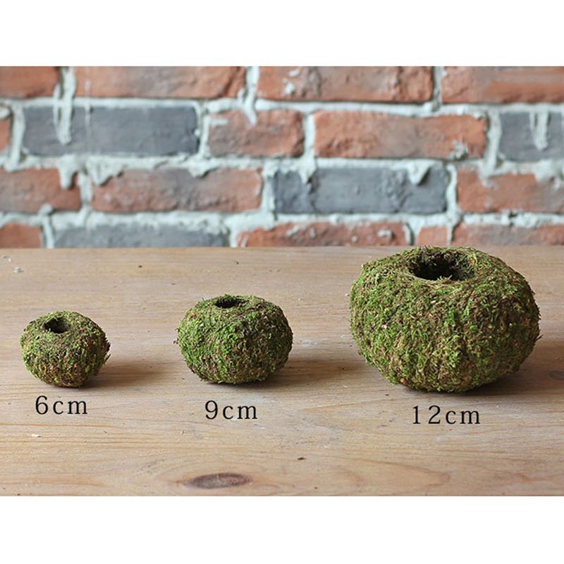 Moss Ball Pot Bird Nest Flower Plant Home Office Desk Table Garden DIY Decoration