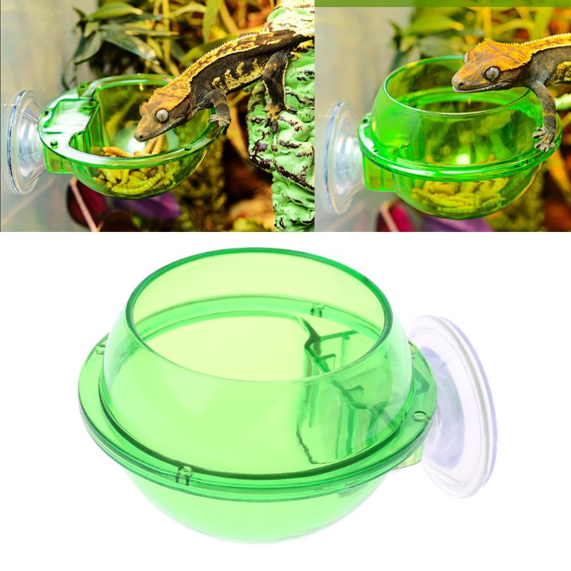 Reptile Anti-escape Food Bowl Cup Turtle Lizard Worm Live Food Container