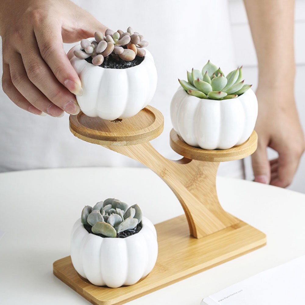Ceramic Round Succulent Planter Flower Pot Oblate Flowerpot Treetop Bamboo Stand Garden Pots & Planters Flower Pots & Planters