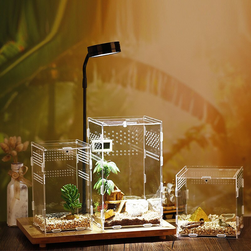 Reptile Breeding Box Acrylic Terrarium Transparent Spider Lizard Scorpion Amphibian Assembled Insect Breathable Terrarium