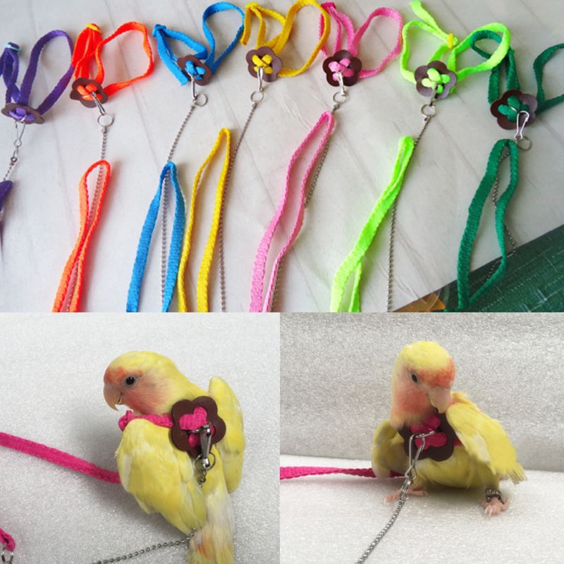 Laisse de harnais d'oiseau de perroquet pour animaux de compagnie corde d'entraînement réglable extérieure sangle de Traction Anti-vol bande souple Portable directe