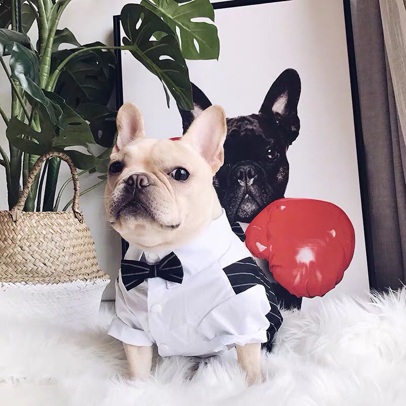 Pet Party Gentleman Dog Wedding Suits Formal Shirts for Small Dogs Bow Ties Dog Clothes Tuxedos Pet Cats Trend Clothes