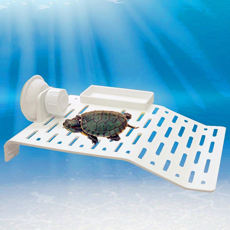 aquarium pour tortue plateforme tortue aquatique, rampe pour tortues, terrasse, île flottante, aquarium, avec ventouses maison tortue terrestre