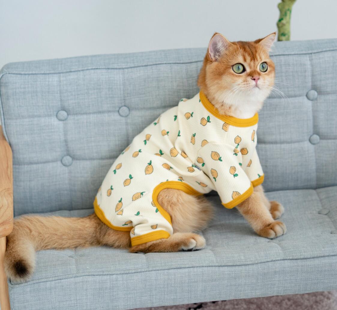 Ropa de invierno para gatos, abrigo para cachorros y gatitos, chaqueta para perros pequeños y medianos, C
