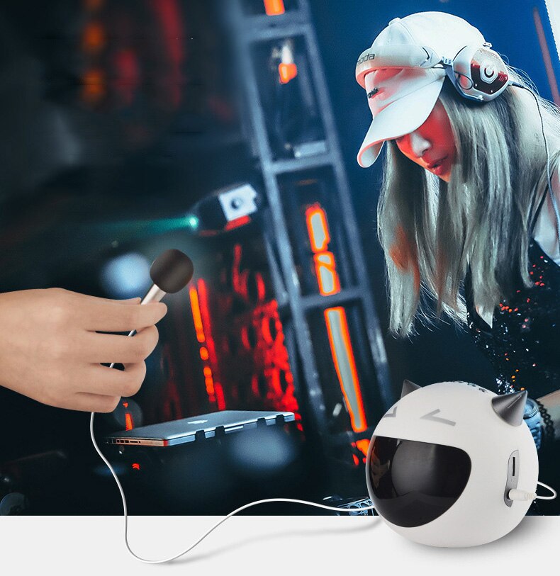 Portable Mini Bluetooth Speaker with Microphone - 5W - 2200mAh Battery - FM Radio & MP3 Playback