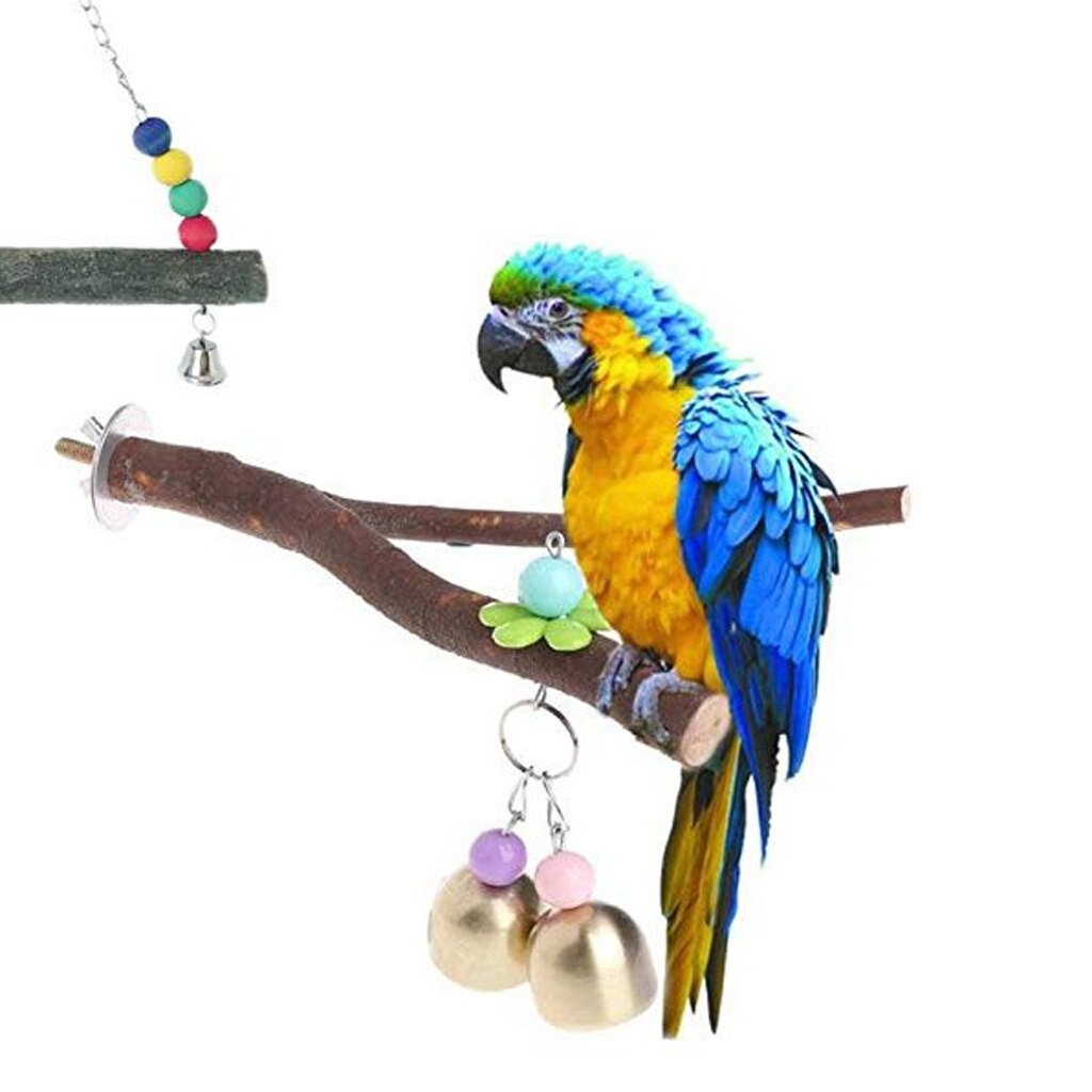 1 St Papegaai Speelgoed Vogel Speelgoed Huisdier Reuzenrad Speelgoed Vogelwiel Speelgoed Voor Kooi Vogel Kauwspeeltje Valkparkiet Trainen Tafelblad Plastic Inflator Staart Tsui