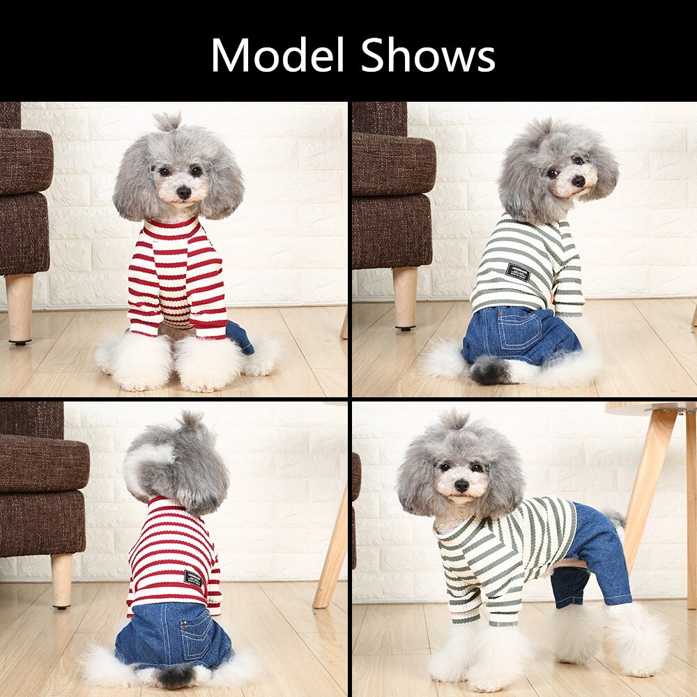 Ropa para perros y gatos, pantalones de vestir para cachorros, suéter informal para perros pequeños de peluche, ropa de cuatro pies para mascotas, primavera y verano