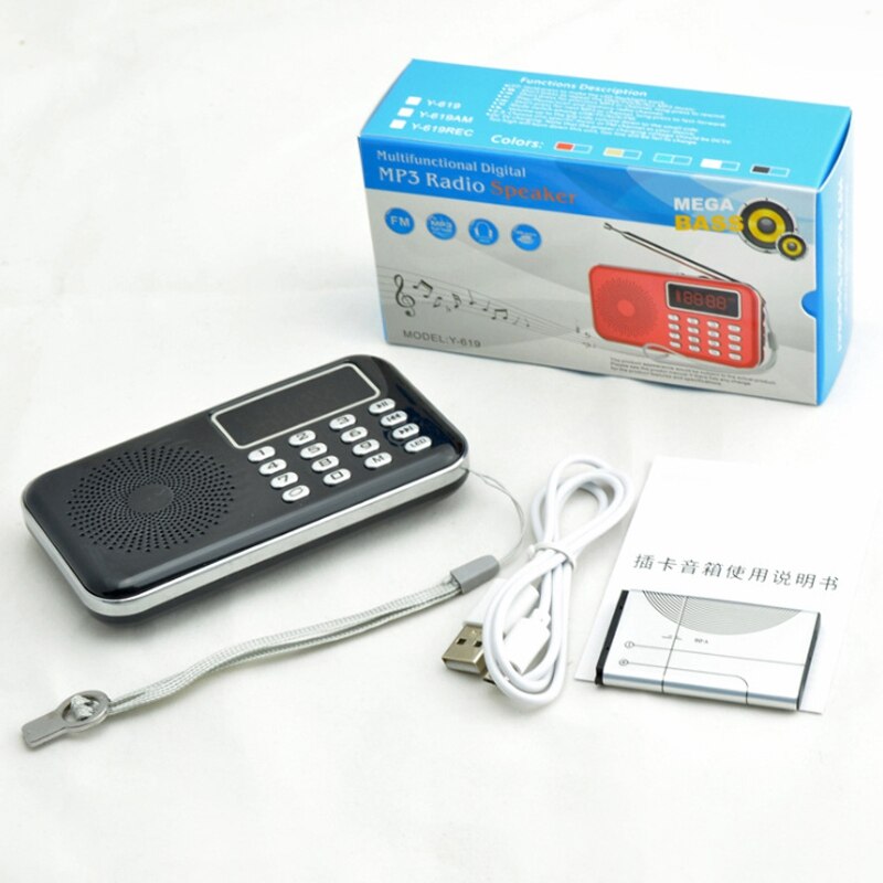 FM Radio Portatile Anziani Radio FM Schermo Digitale Multi-Funzione carta registratore