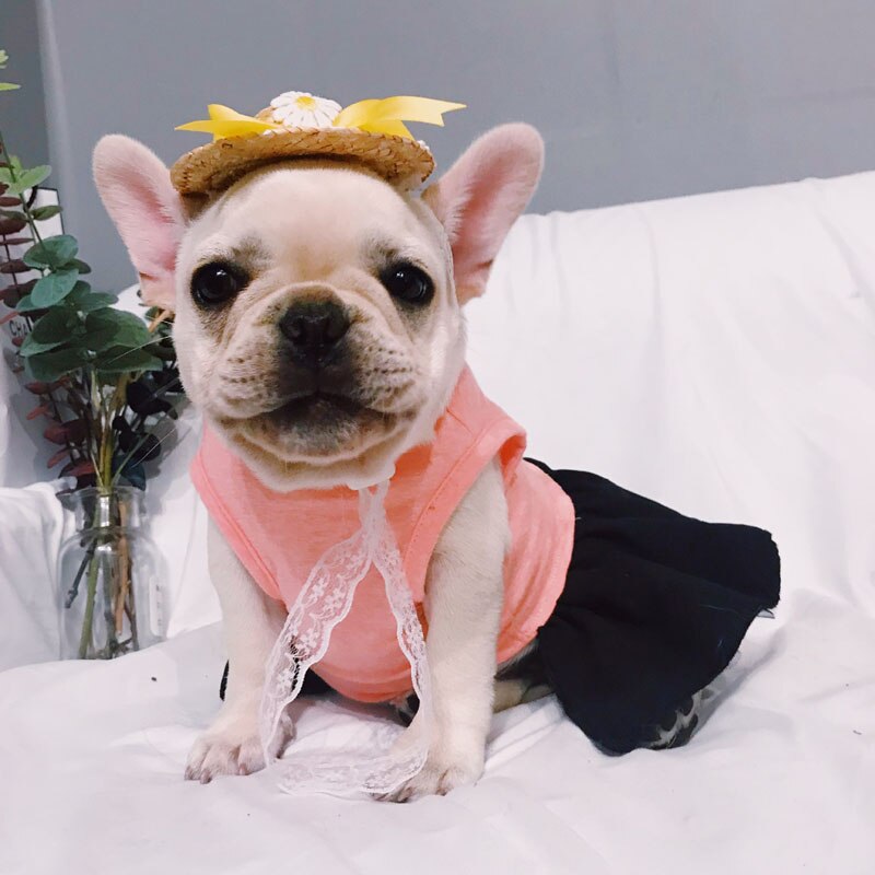 Robe rose pour chien Corset Vintage | Vêtements pour chiens, à clapet Long pour petits chiens, carlin, bouledogue, vêtements pour animaux, jupe évasée XS S MLXL
