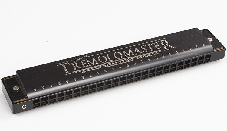 24 hole tremolo harmonica adult students play beginners C harmonica instrument of college students