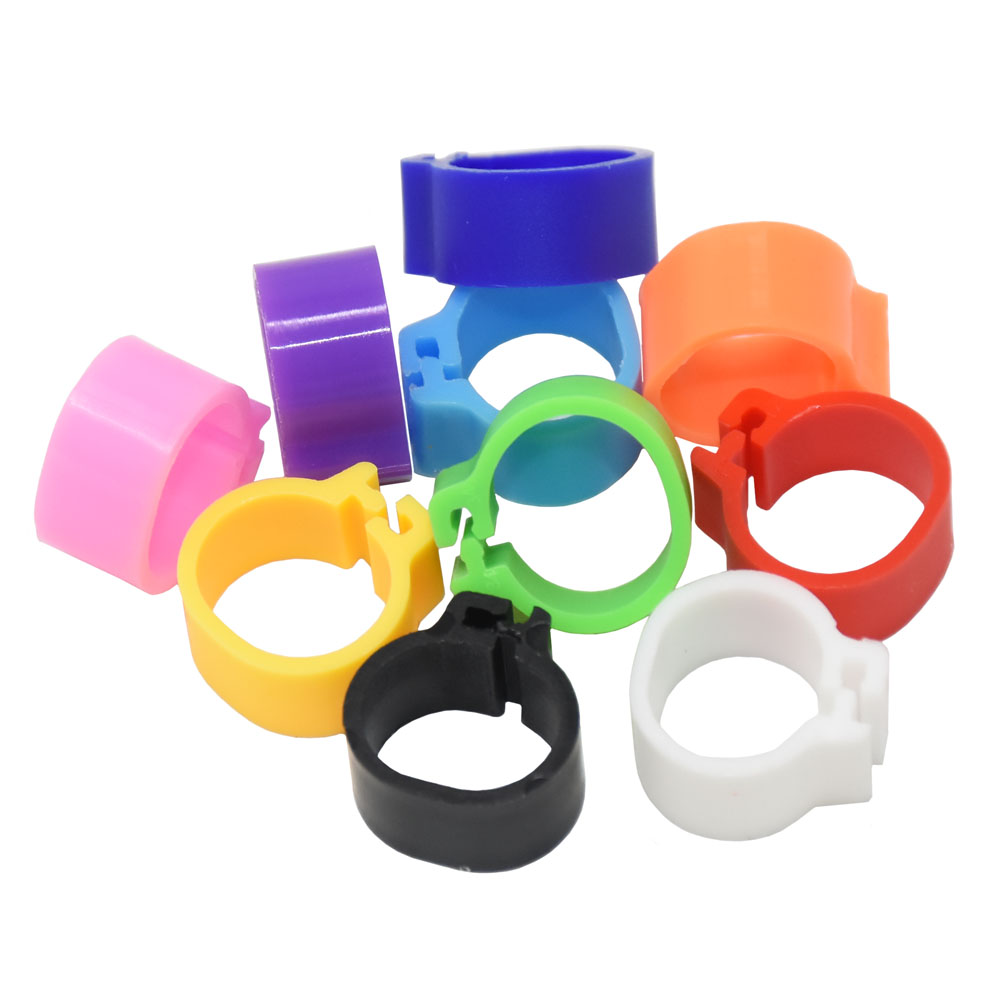 100 Stücke 10mm VöGel Taube Fußringe Kleine GeflüGel FußRing 10 Farben Kunststoff Taube Clip Wachtel Taube FußRing Haustier Vogel Liefert