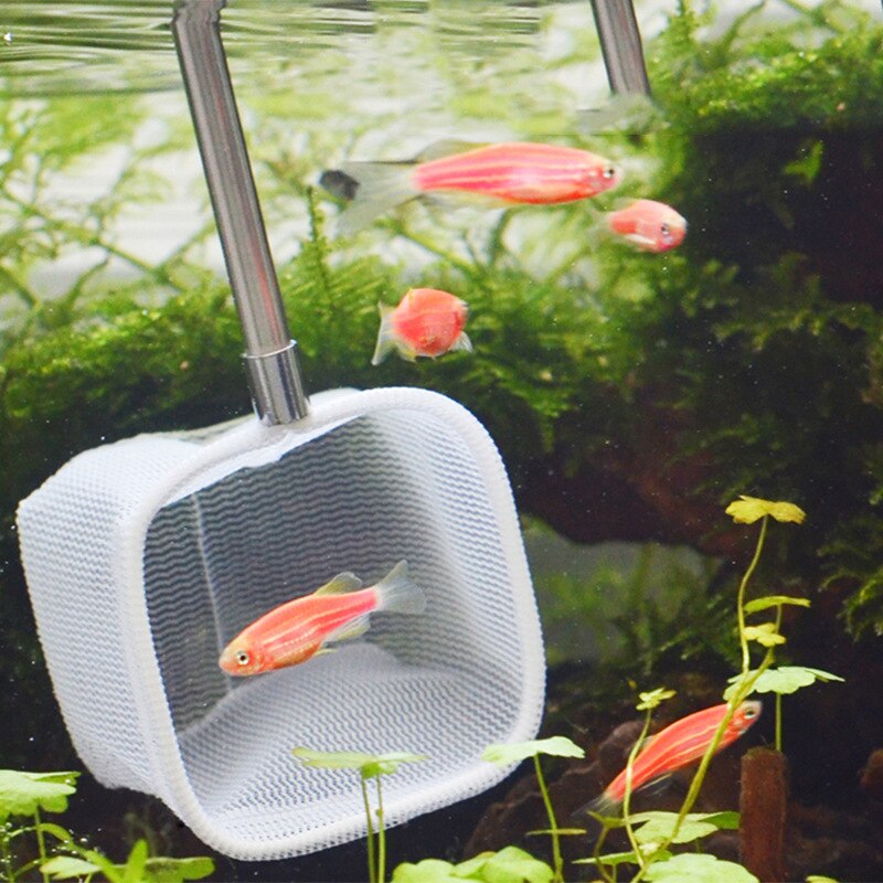 Mini red de camarón para acuario, malla fina telescópica, pequeña red de pesca con mango largo de acero inoxidable, M56