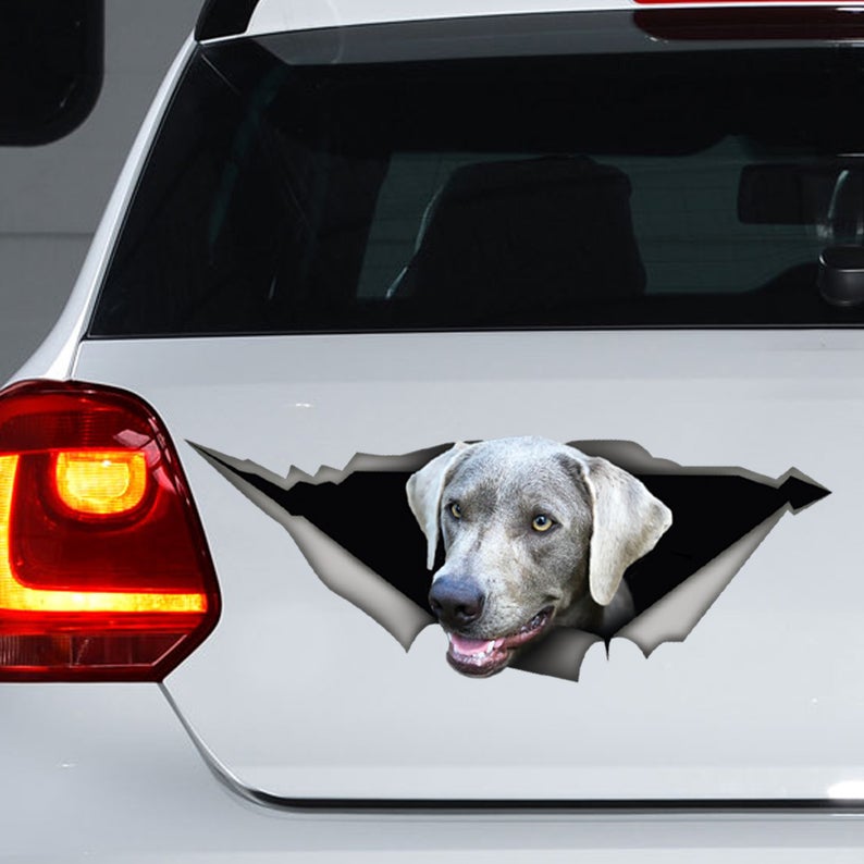 Calcomanía de plata para perro, pegatina de laboratorio de plata, imán para perro, para portátil