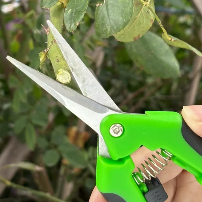 1/3Stck Gartenarbeit Beschneiden Schere Garten Schere Hand Prun Multi-verwenden Prun Scher Trauben Obst Baum wählen Topf pflücken Schere Werkzeug