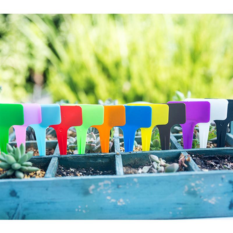 10-Delig Pakket Voor Je Eigen Miniatuurtuin Aanbieding ⏰ | V