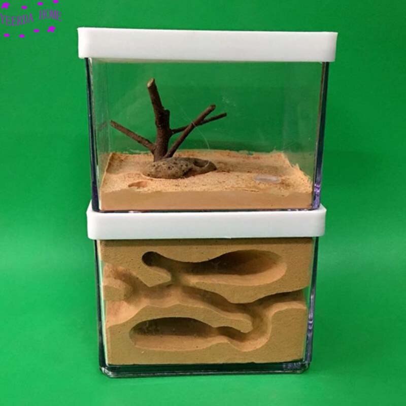 Easy Diy Ant Farm with feeding area Ants Castle Pet Cages insect house Workshop Insect Landscaping Housing workshop: B