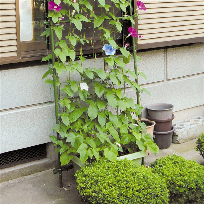 Flower Vegetable Plant Fruit Climbing Frame Garden Bodysuit Green Garden Fence Mesh Plant Vines Climbing Network