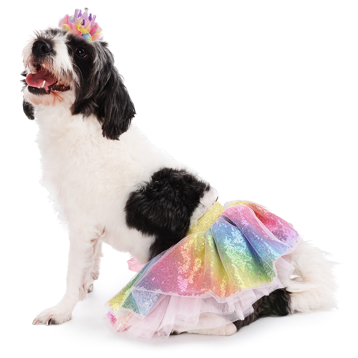 Jupe Tutu à paillettes pour animaux de compagnie, Costume mignon pour chien, avec bandeau et pince à cheveux, accessoires de vêtements pour animaux de compagnie, fournitures pour animaux de compagnie