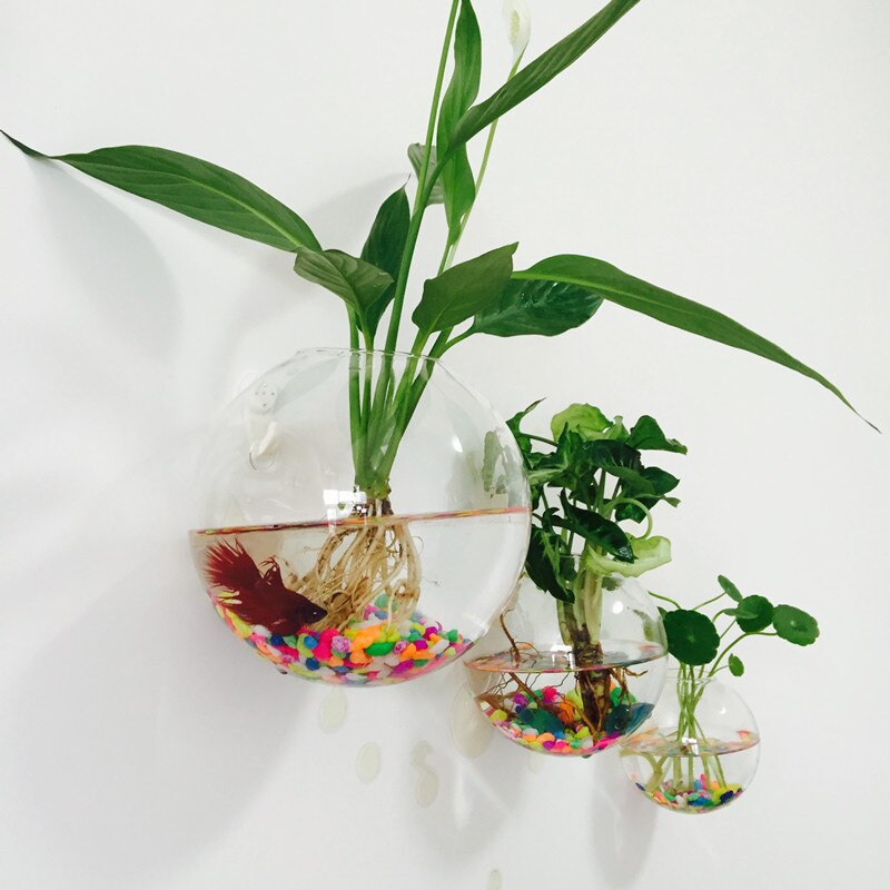 Diameter=10cm Wall Mounted Glass Terrarium Vase with open Home Decorative Hanging Glass Vase Glass Fishbowl