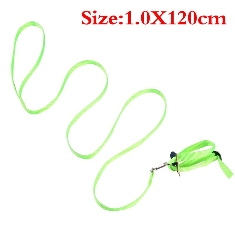 Harness And Leash For Birds Parrot Cockatiel Parakeet Conure Macaw Training Rope 5 Colors