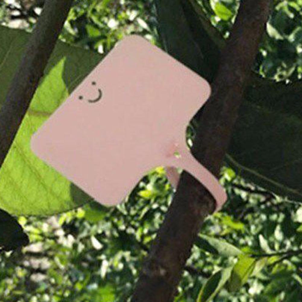 100pcs/Set 2 in 1 Garden Labels Plant Classificati... – Grandado