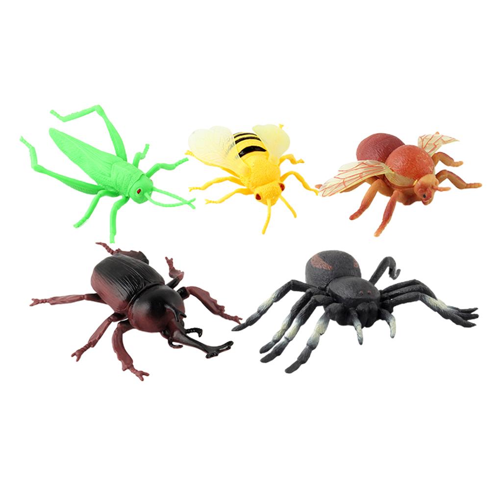 Bug Toys figurine 5/6/8/12PCS giocattoli per insetti figure per bambini bambini educativi ape scarabeo ragno modello in plastica