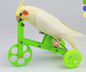 Papegøje pædagogisk legetøj cykel papegøje leverer udstyr papegøje cykel papegøje legetøj fugl legetøj: 2